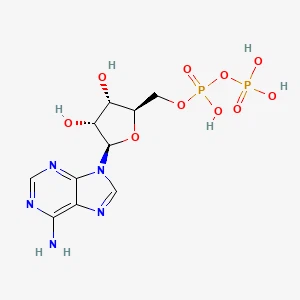 Adenosina 5 '- Diphosfato 丨 CAS 58-64-0