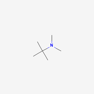 N,N-dimetil-terc-butilamina丨CAS 918-02-5
