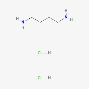 1,4-diaminobutano dihidroclorhidrato 丨 CAS 333-93-7